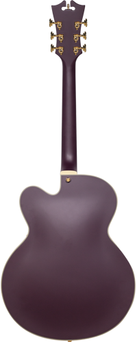 dexl-1-mplgt-1.png